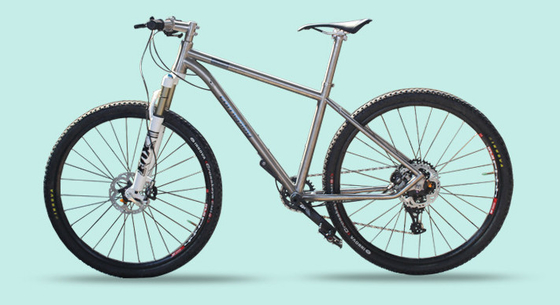 Titanium Alloy Bike Frame For Mountain Bike Internal Wiring Internal Brake Shock Absorption